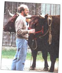 
Richard Roosenberg with a team of oxen.
